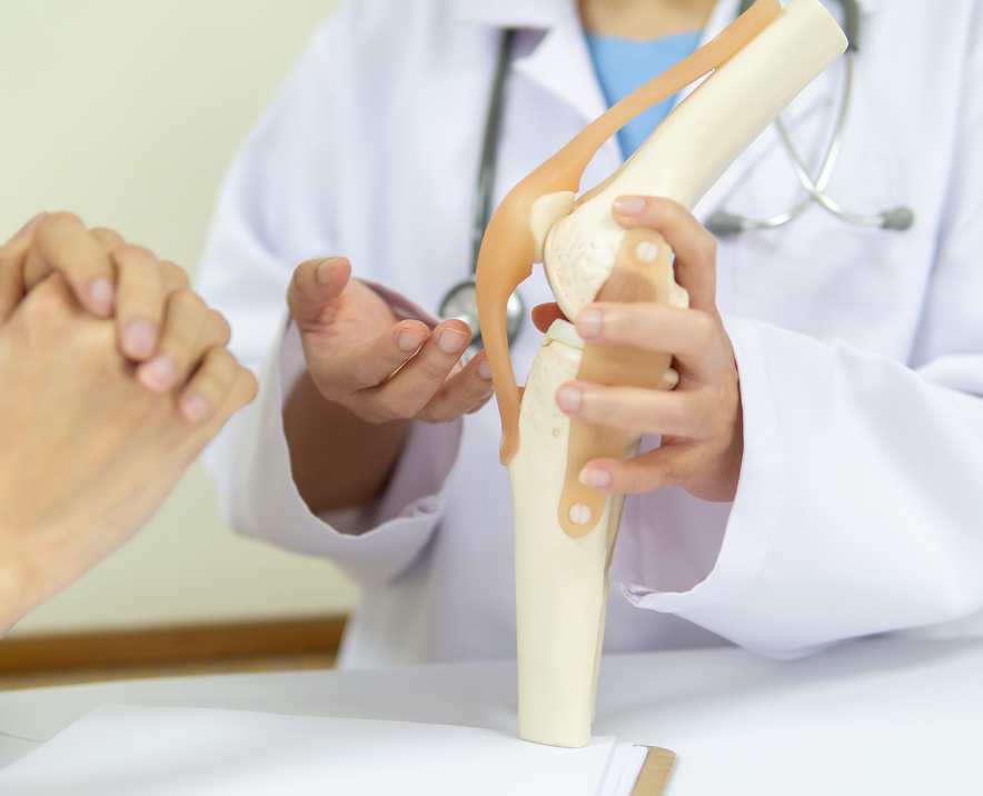midsection-doctor-holding-artificial-joint-with-patient-sitting-table