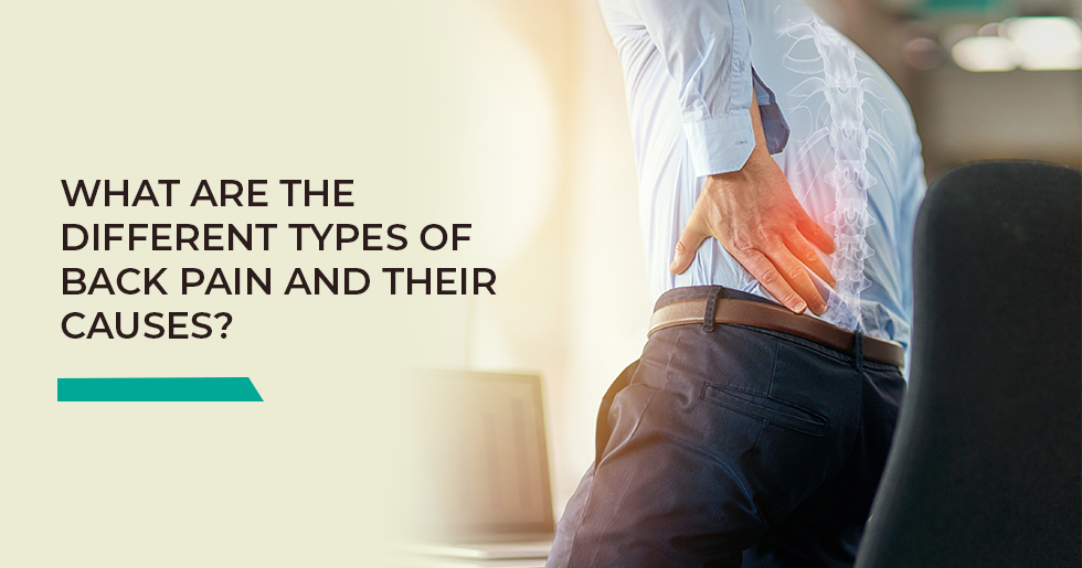 What are the different types of back pain and their causes?